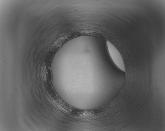 X0000086050223200703230929