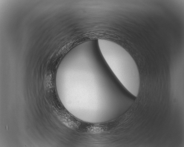 X0000086050224200703230929