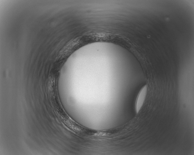 X0000086050225200703230929