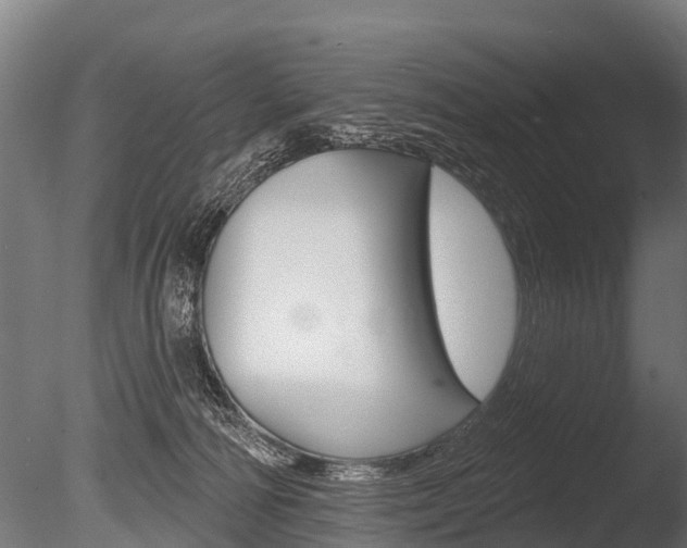 X0000086050226200703230929