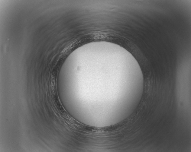 X0000086050228200703230929
