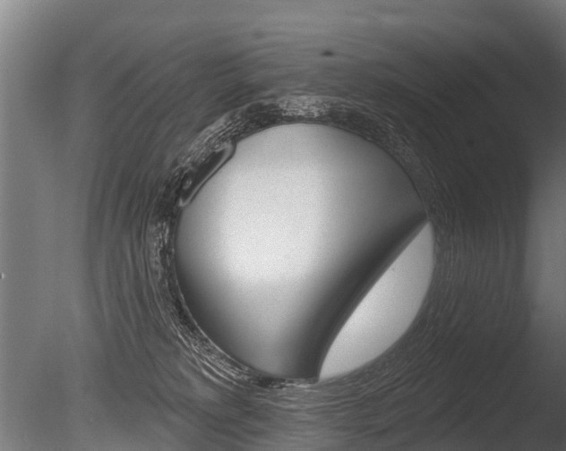 X0000086050229200703230929