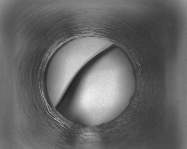 X0000086050241200703230928