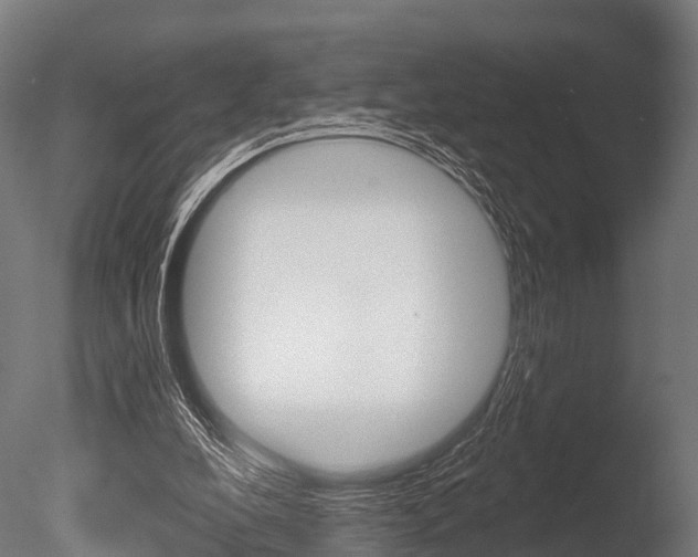 X0000086050248200703230928