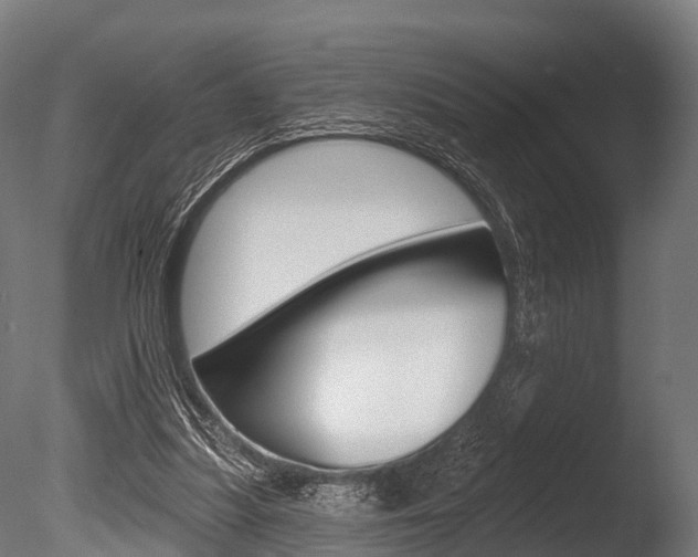X0000086050251200703230928