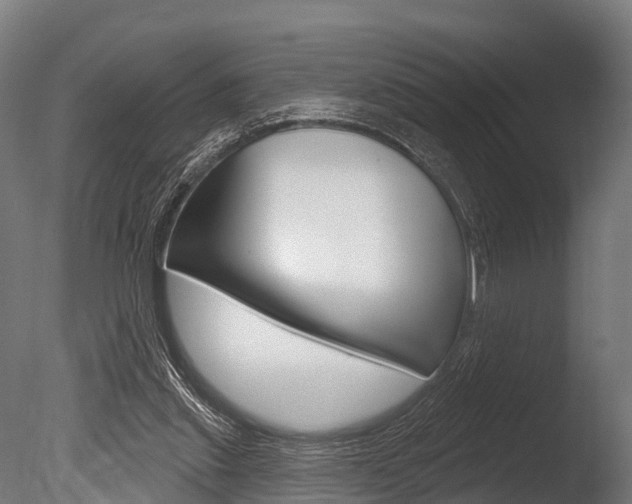 X0000086050253200703230928