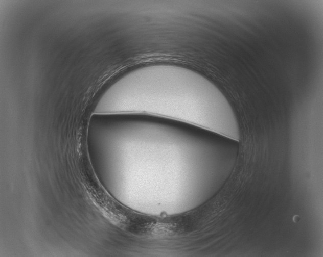X0000086050255200703230928