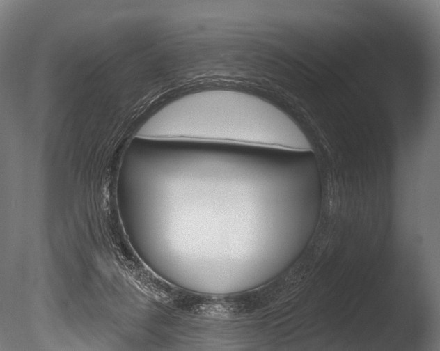 X0000086050259200703230928