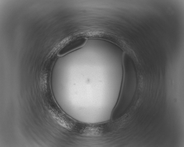X0000086050260200703230928