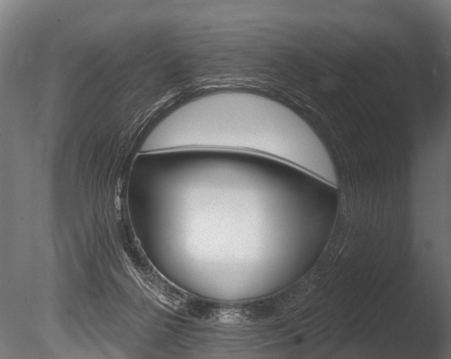 X0000086050264200703230928