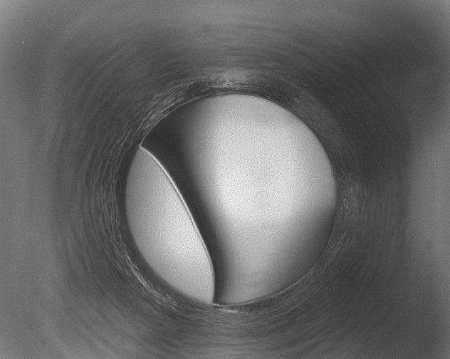X0000086050265200703230928