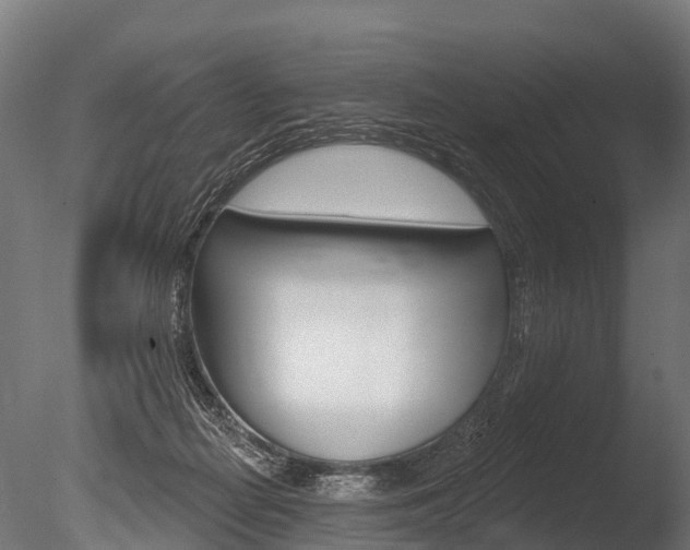 X0000086050266200703230928