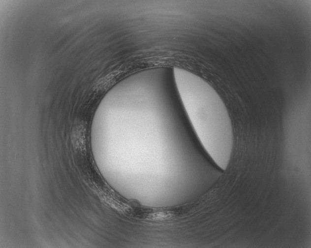 X0000086050274200703230928