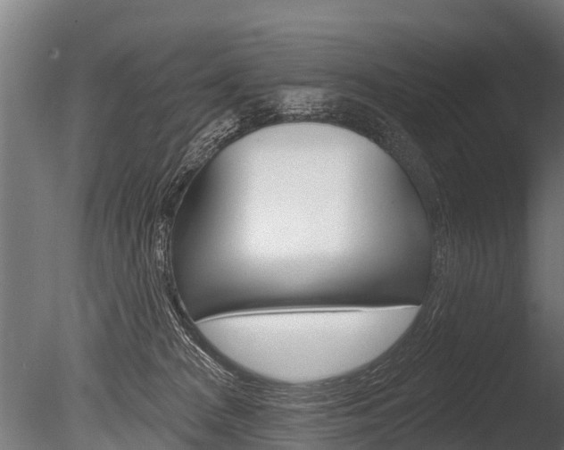 X0000086050277200703230928