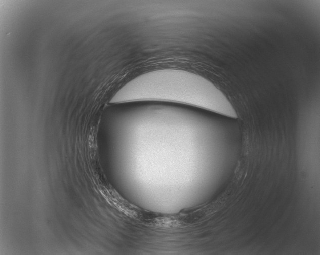 X0000086050284200703230929