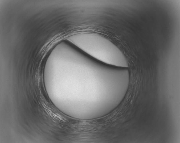 X0000086050290200703230928