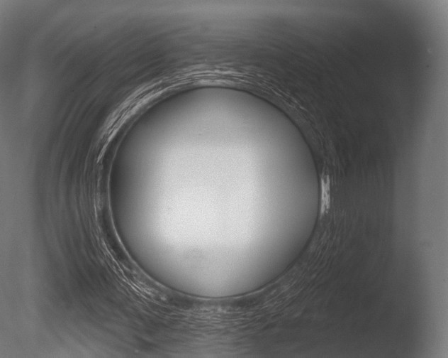 X0000086050291200703230928