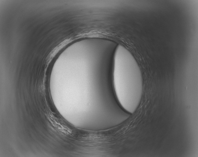 X0000086050292200703230928