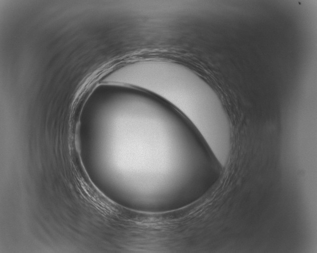 X0000086050293200703230928
