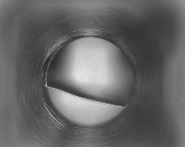X0000086050299200703230928