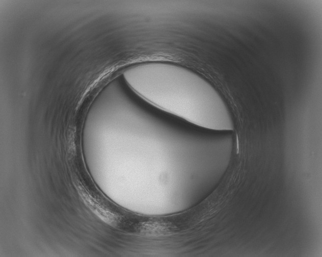 X0000086050300200703230928