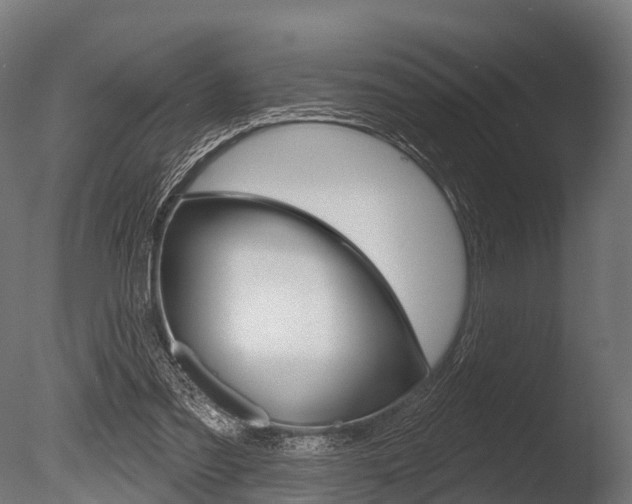 X0000086050301200703230928