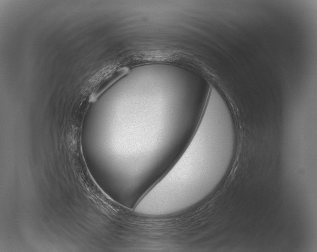 X0000086050305200703230928