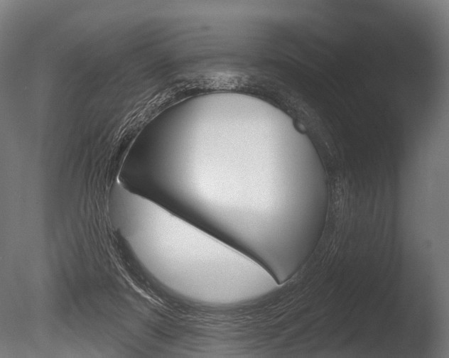 X0000086050307200703230927