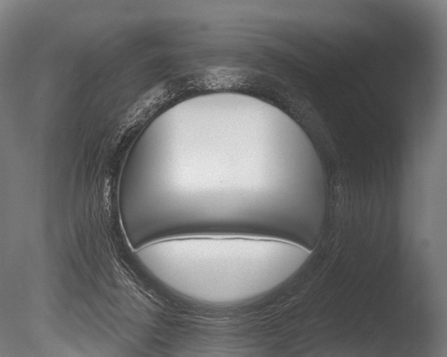 X0000086050308200703230927