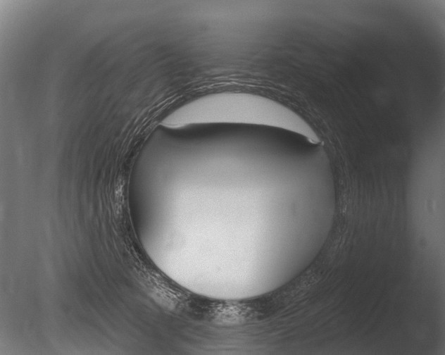 X0000086050321200703230927