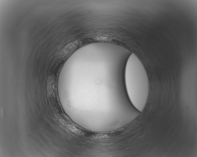X0000086050322200703230927