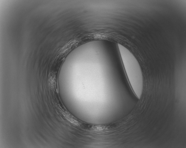 X0000086050329200703230927