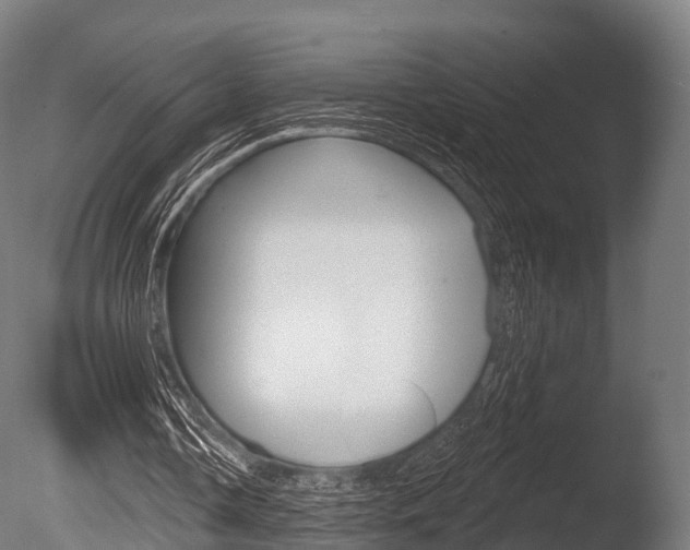 X0000086050338200703230926