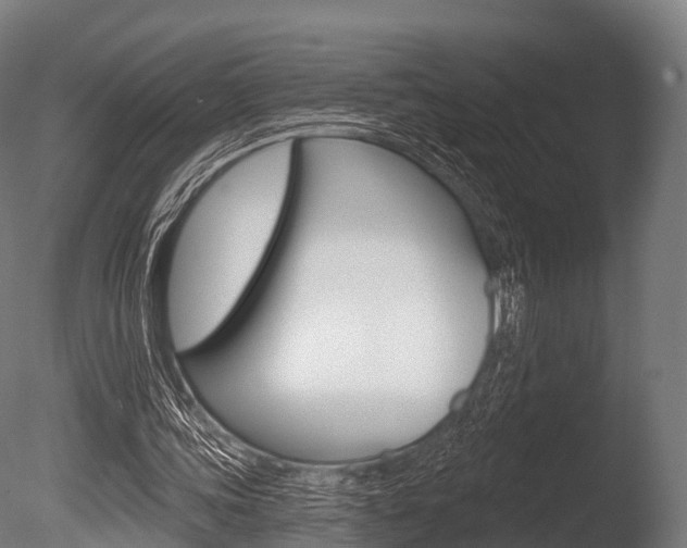 X0000086050339200703230926