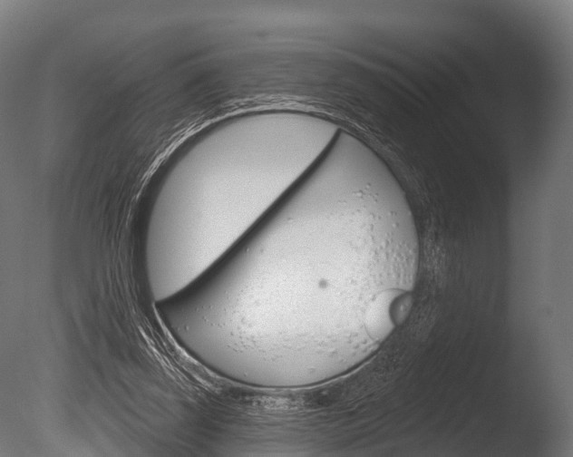 X0000086050347200703230926