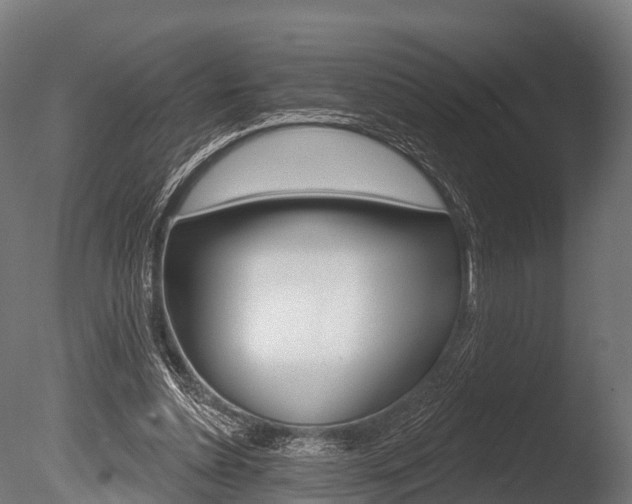 X0000086050348200703230926