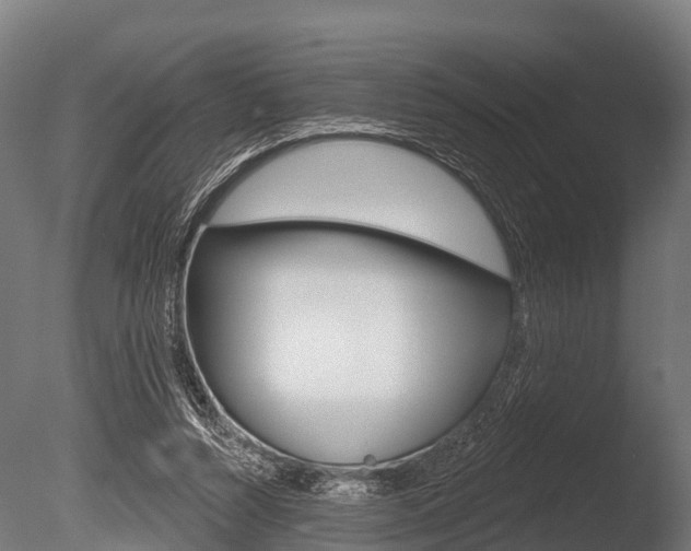 X0000086050352200703230926