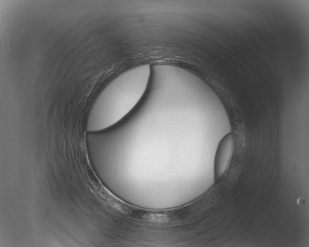 X0000086050361200703230927