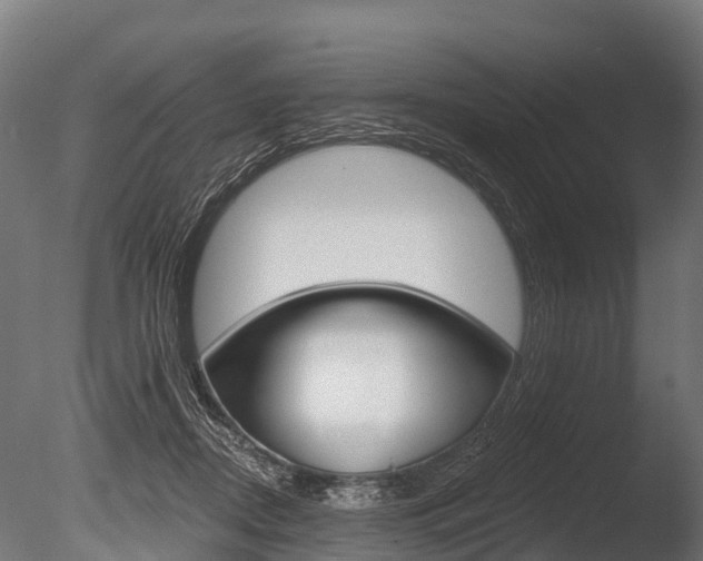 X0000086050362200703230927