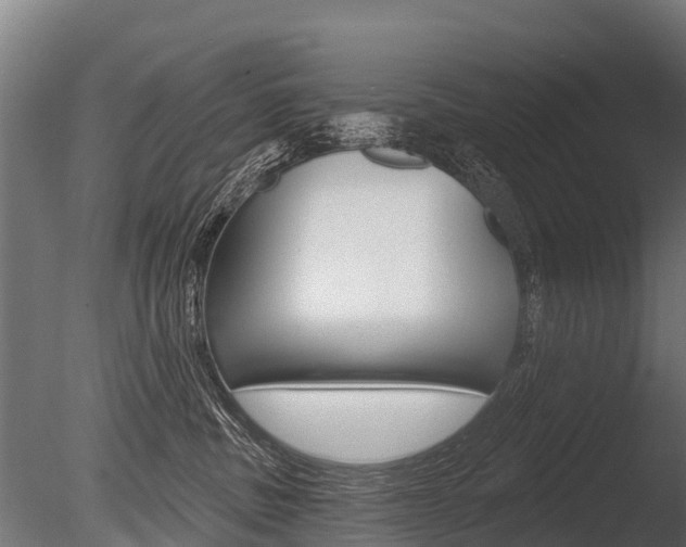 X0000086050379200703230927