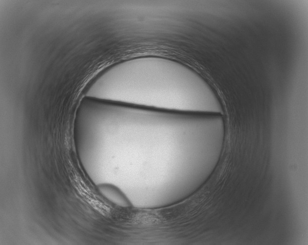 X0000086050386200703230926