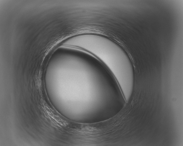 X0000086050387200703230926