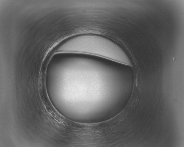 X0000086050388200703230926