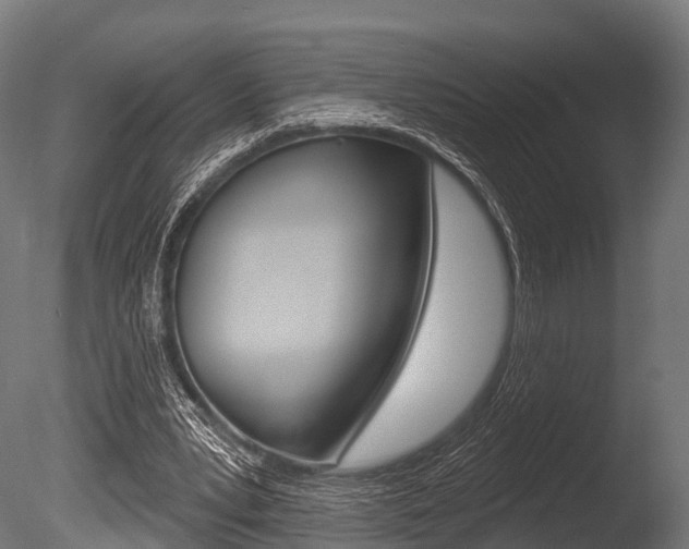 X0000086050391200703230926
