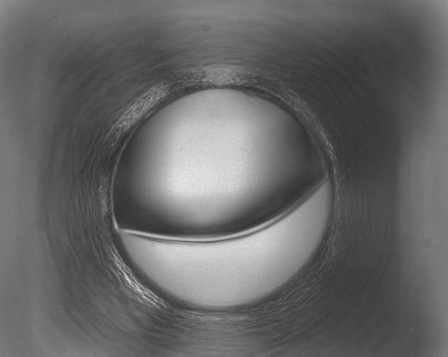 X0000086050393200703230926