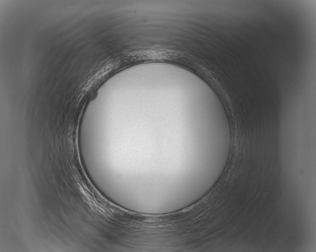 X0000086050394200703230926
