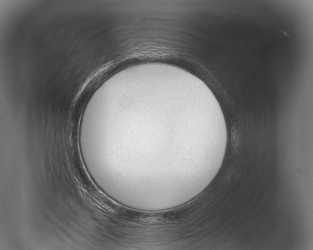 X0000086050396200703230926