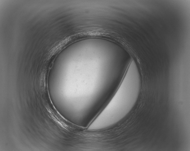 X0000086050397200703230926