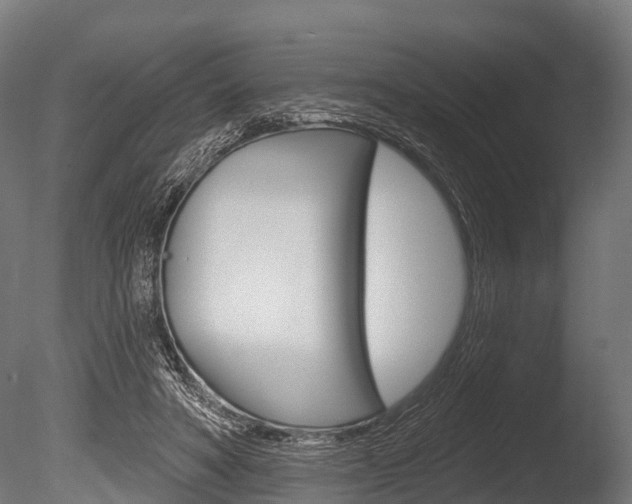 X0000086050402200703230926