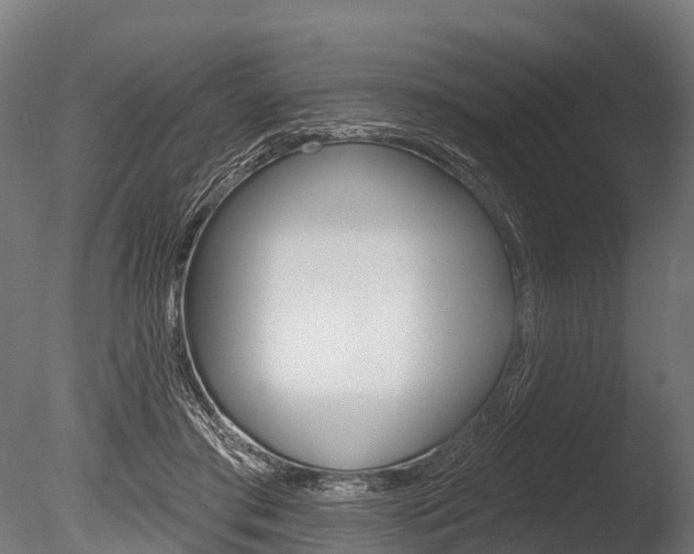 X0000086050405200703230926